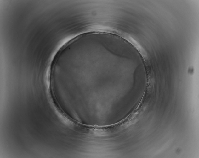 X0000102491128200808221724