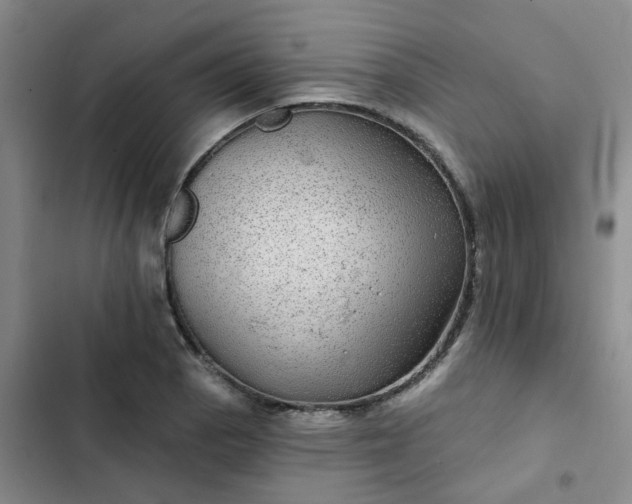 X0000102491129200808221724