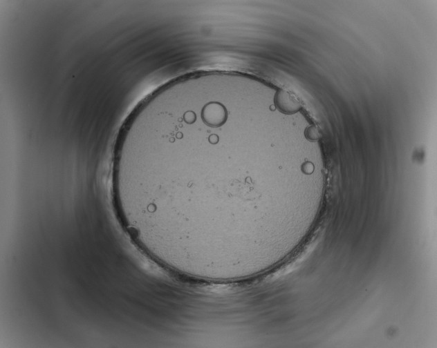 X0000102491130200808221724