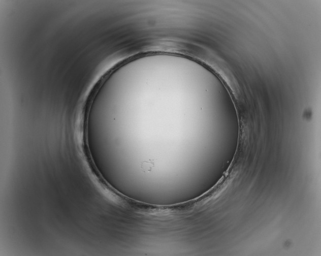 X0000102491131200808221724