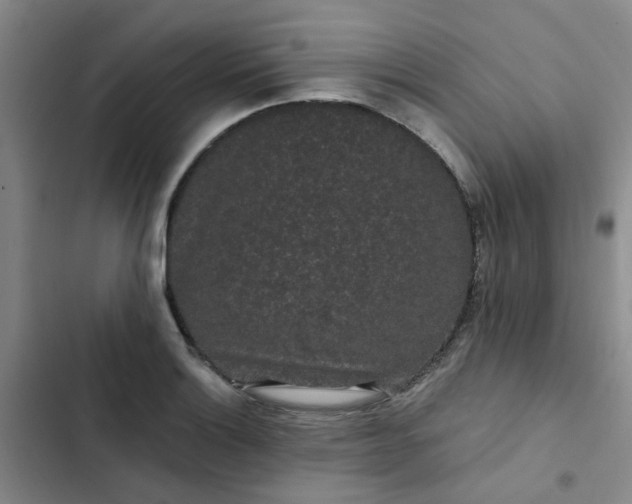 X0000102491132200808221724