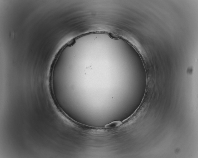 X0000102491135200808221724