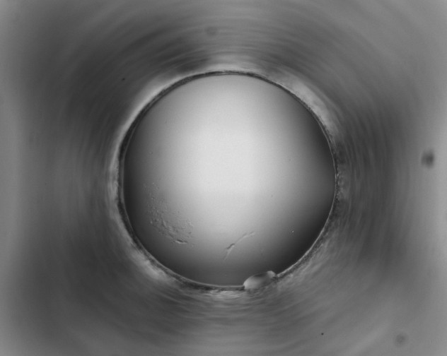 X0000102491140200808221724