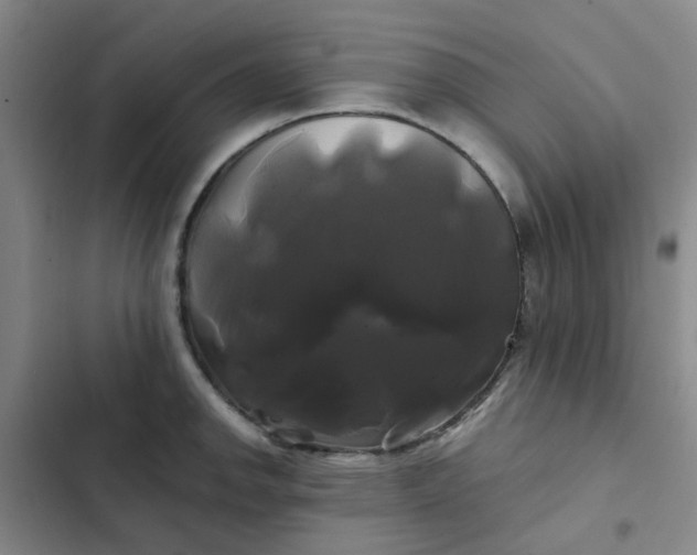 X0000102491142200808221724