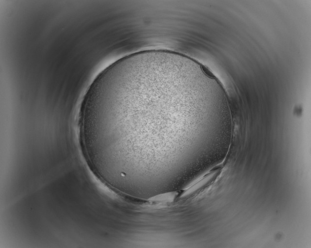 X0000102491143200808221724