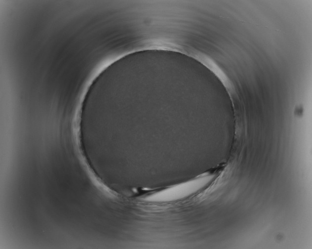 X0000102491144200808221724