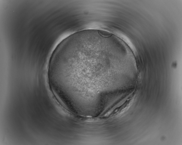 X0000102491146200808221724