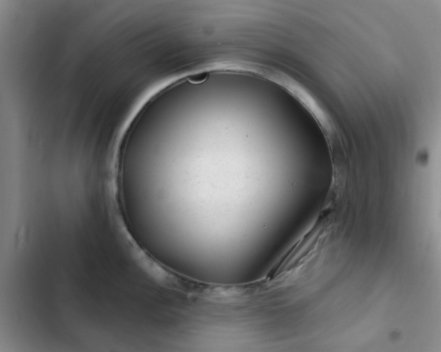 X0000102491148200808221724