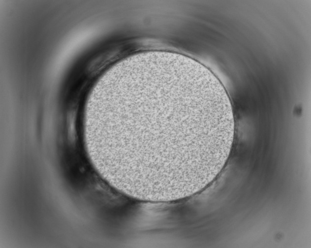 X0000102491150200808221724