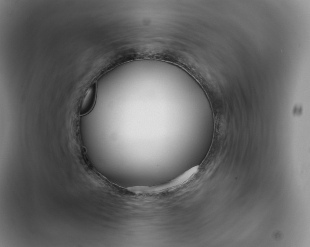 X0000102491153200808221724