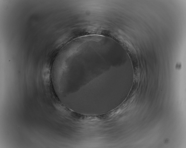 X0000102491154200808221724