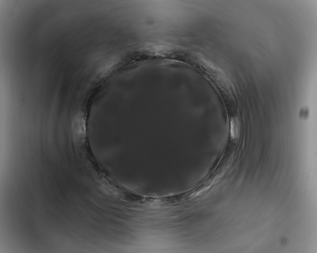 X0000102491155200808221724