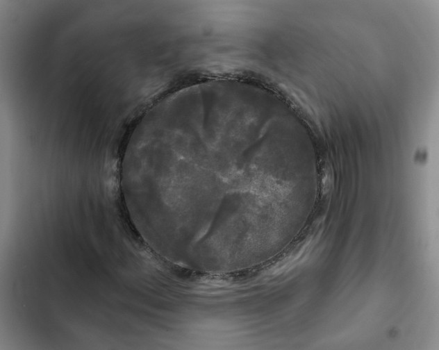 X0000102491156200808221724