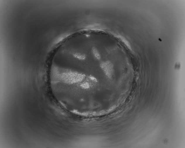 X0000102491159200808221724