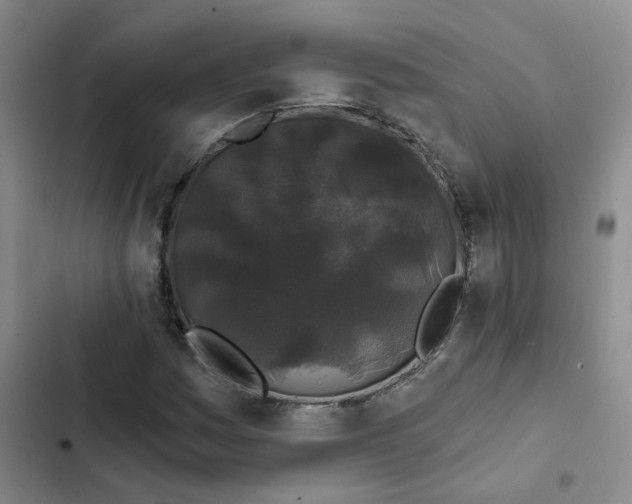 X0000102491161200808221724