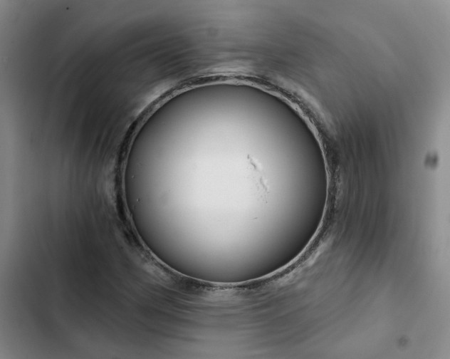 X0000102491162200808221724