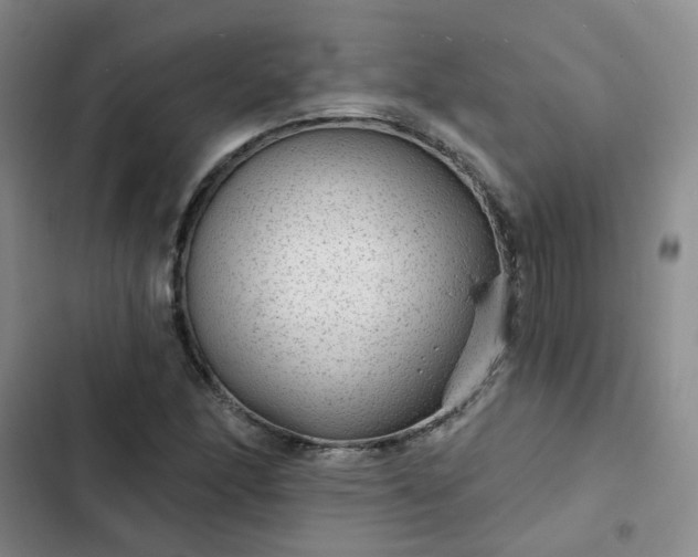 X0000102491166200808221724