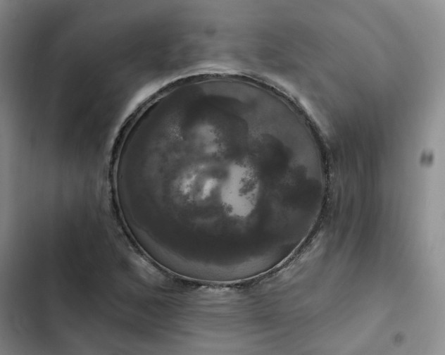 X0000102491168200808221724