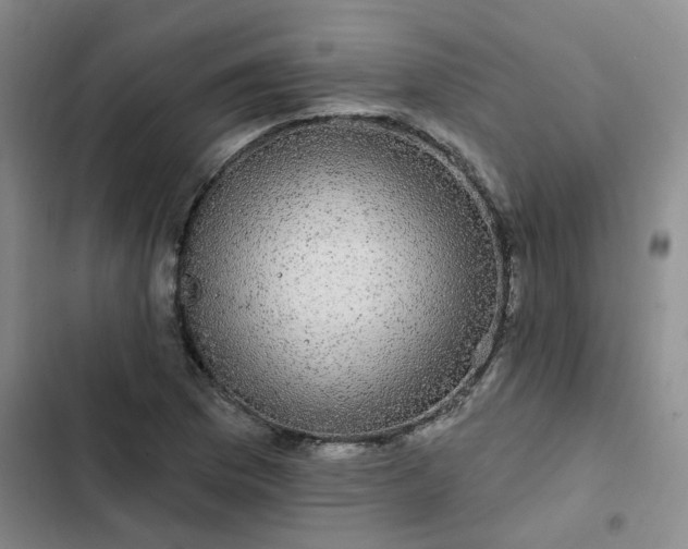 X0000102491169200808221724