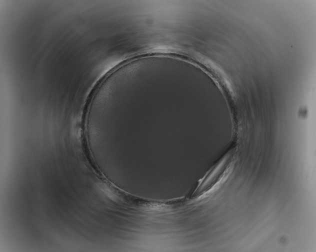 X0000102491170200808221724