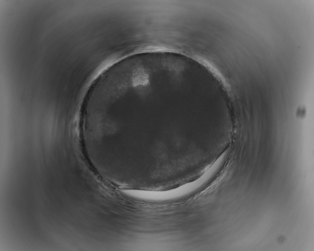 X0000102491173200808221723