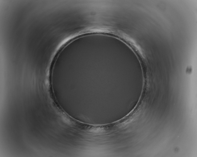 X0000102491174200808221723