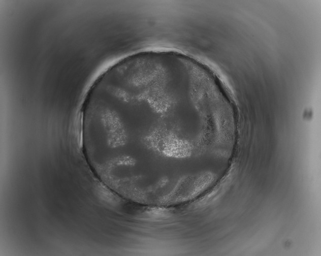 X0000102491175200808221723