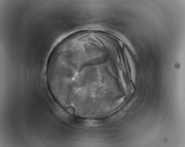 X0000102491176200808221723