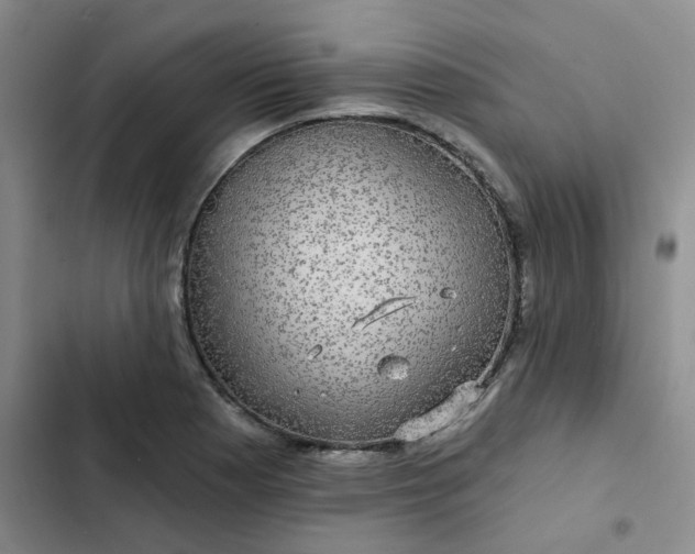 X0000102491177200808221723