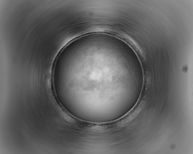 X0000102491178200808221723