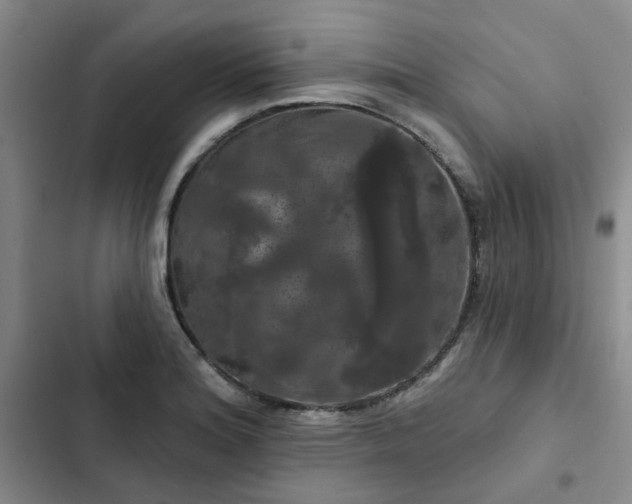 X0000102491180200808221723