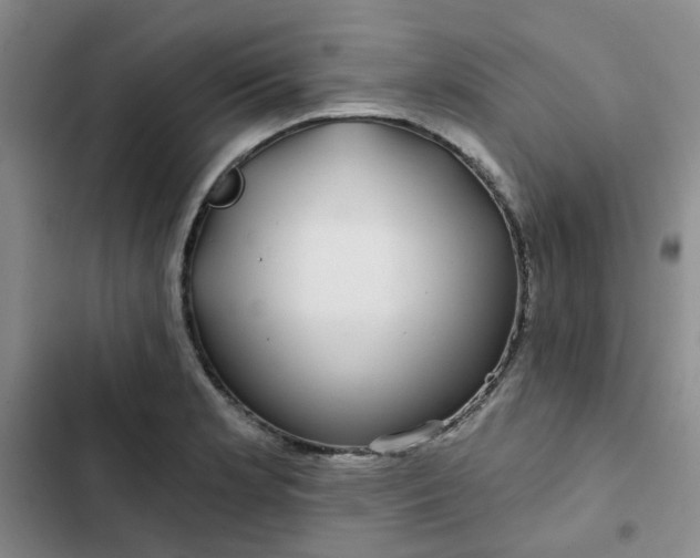 X0000102491181200808221723