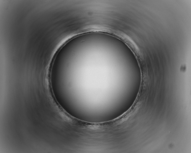 X0000102491182200808221723