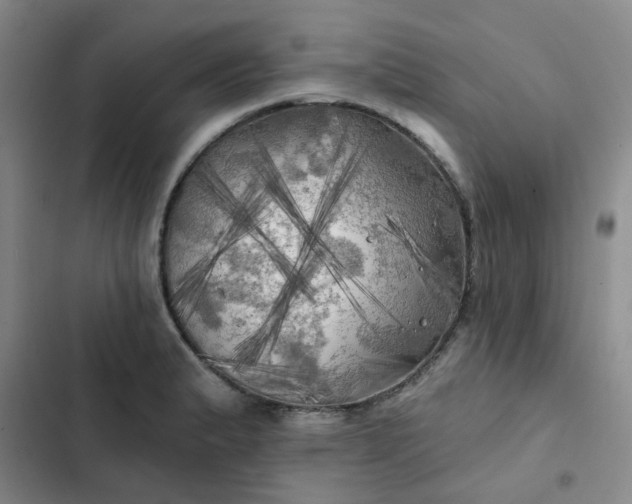 X0000102491183200808221723