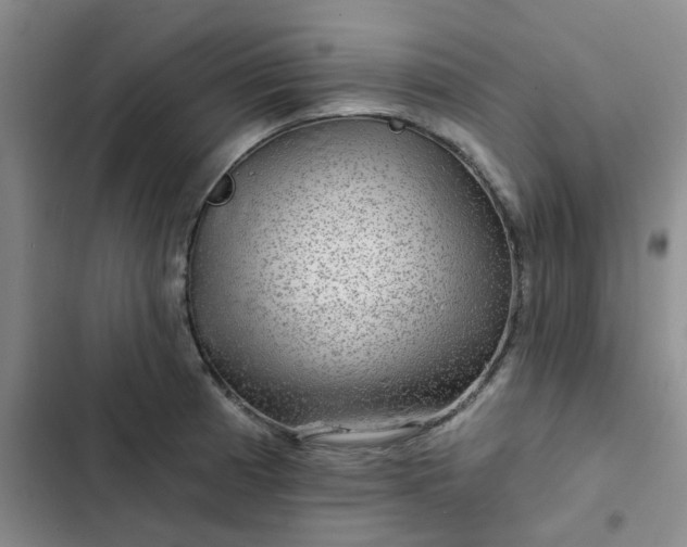 X0000102491185200808221723