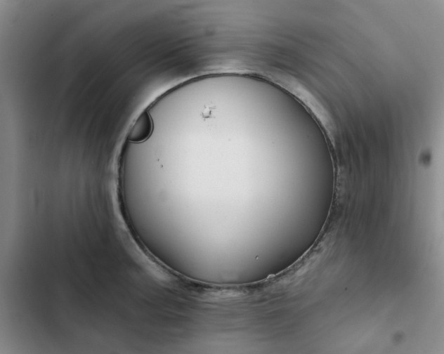 X0000102491187200808221723