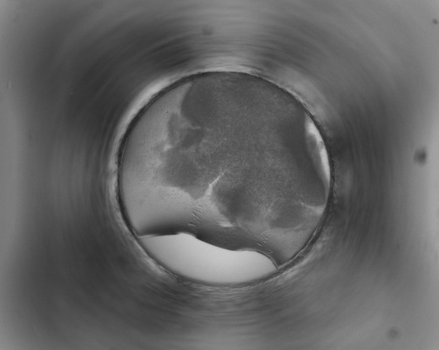 X0000102491188200808221723