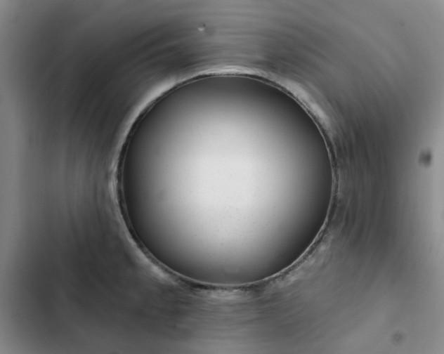 X0000102491189200808221723