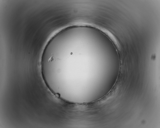 X0000102491191200808221723