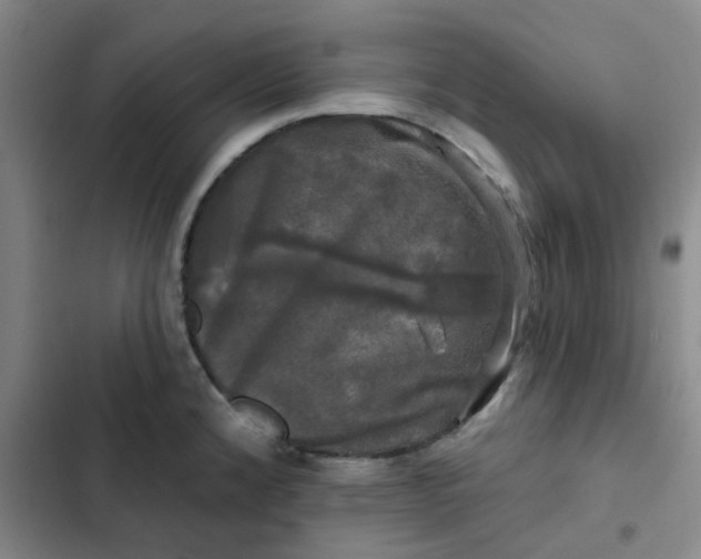 X0000102491192200808221723