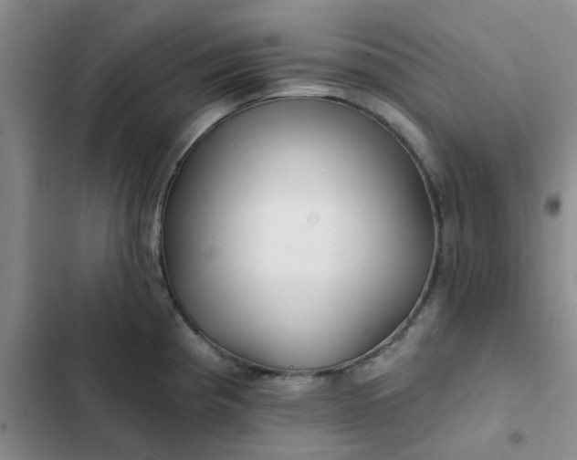 X0000102491193200808221723