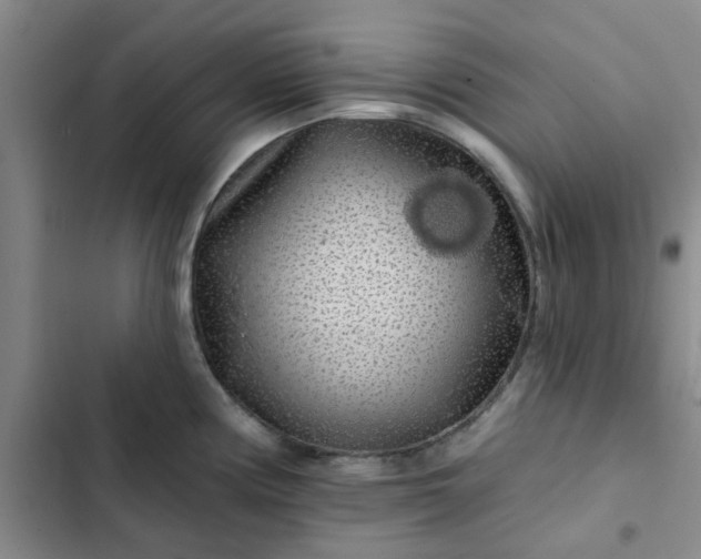 X0000102491194200808221723