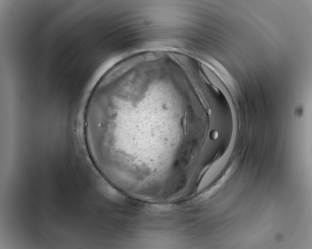 X0000102491196200808221723