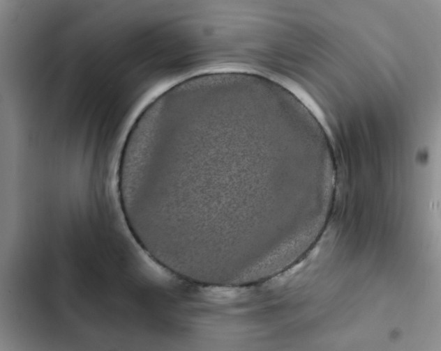 X0000102491197200808221723