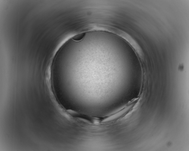 X0000102491198200808221723