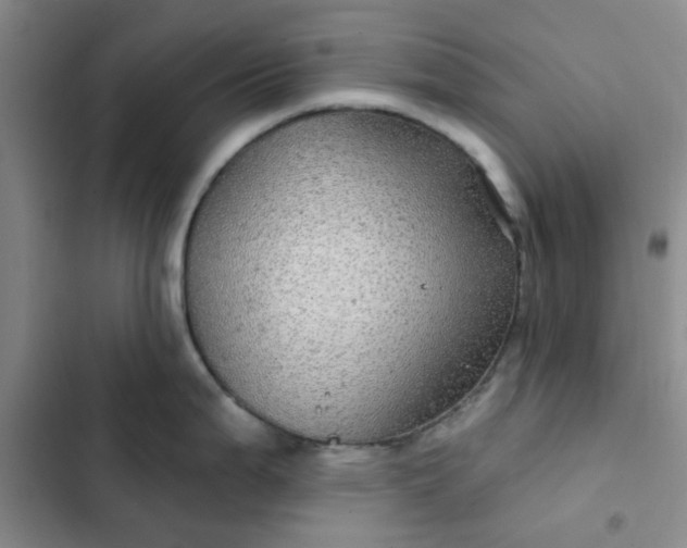 X0000102491199200808221723