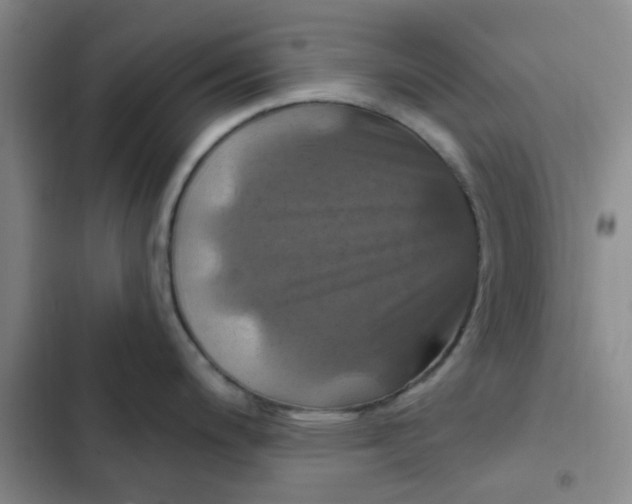 X0000102491200200808221723