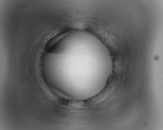 X0000102491201200808221722