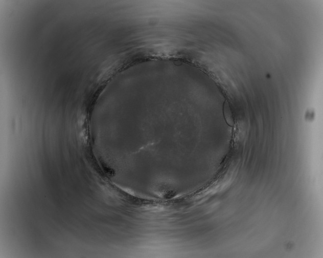 X0000102491202200808221722