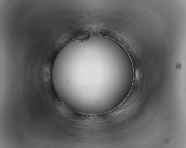 X0000102491203200808221722